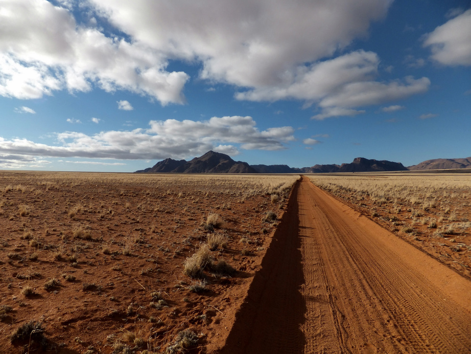 Desert Landscape View